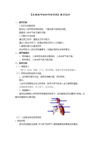 科学八年级下册第5节 生物的呼吸和呼吸作用优秀教案