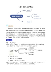 专题06 物质转化相关探究-【赢在中考】中考科学二轮复习压轴题（浙江专用）