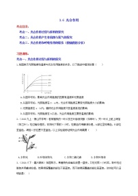 浙教版八年级下册第6节 光合作用综合训练题
