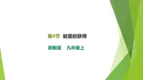浙教版九年级上册第4节 能量的获得一等奖课件ppt