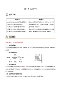 科学八年级下册第6节 光合作用课后复习题