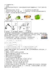 2023年浙江省九年级中考科学模拟练习卷（含答案）