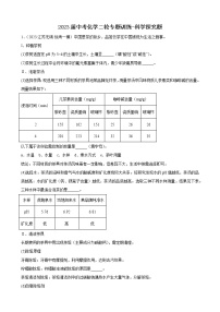 2023年中考化学二轮专题训练科学探究题