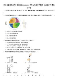 浙江省嘉兴市秀洲外国语学校2022-2023学年九年级下学期第一次校级中考模拟科学卷  含解析