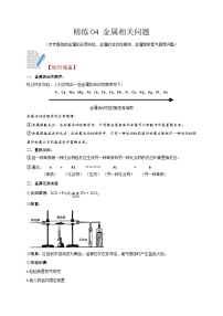 精练04 金属相关问题-浙江中考科学复习易错点重难点精炼