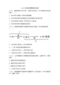 初中科学浙教版八年级下册第6节 光合作用精品复习练习题