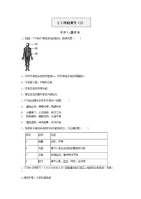 初中科学浙教版八年级上册第3章 生命活动的调节第3节 神经调节精品精练