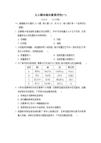 【阶段检测】浙教版科学九年级上册期末 综合素质评价(一)（含解析）