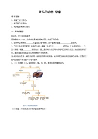 初中科学浙教版七年级上册第2章 观察生物第4节 常见的动物导学案及答案