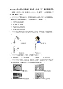 2022-2023学年浙江省金华市义乌市七年级上学期期中科学试卷