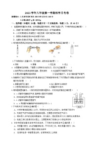 浙江省台州市仙居县白塔中学2023-2024学年八年级上学期10月月考科学试题