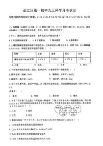 浙江省衢州市衢江区第一初级中学2023-2024学年九年级上学期10月月考科学试题