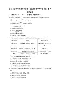 浙江省杭州市上海世外中学2023-2024学年九年级上学期期中科学试卷