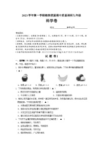 浙江省宁波市北仑区2023-2024学年九年级上学期11月期中联考科学试题