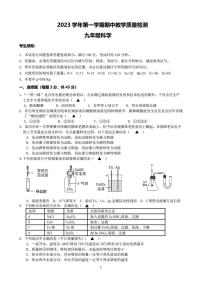 浙江省杭州市闻涛中学2023-2024学年九年级上学期期中科学试题