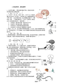 浙教版八年级上册第3节 神经调节练习