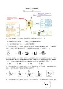 期中考前 复习卷 浙教版科学八年级上册