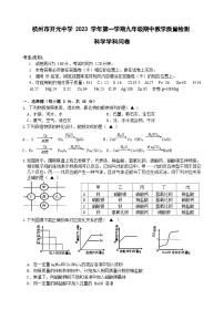 浙江省杭州市开元中学2023-2024学年九年级上学期期中科学试题