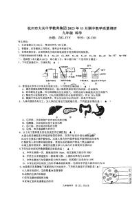 浙江省杭州市大关中学2023-2024学年上学期11月期中考试九年级科学试卷