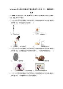 2023-2024学年浙江省温州市瑞安市联考七年级（上）期中科学试卷