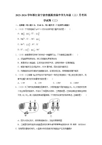 浙江省宁波市慈溪市实验中学2023-2024学年九年级上学期月考科学试卷