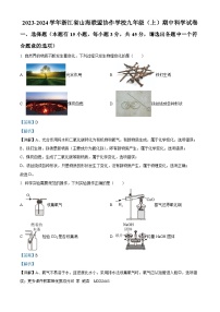 浙江省山海联盟协作学校2023-2024学年九年级上学期期中科学试卷