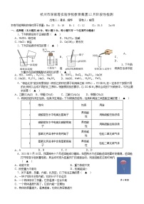 浙江省杭州市保俶塔实验学校2023-2024学年上学期12月九年级科学月考卷