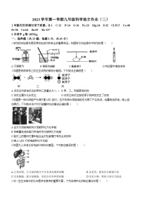 浙江省杭州市江南实验学校2023-2024学年上学期九年级科学12月月考卷 (无答案)