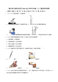 浙江省宁波市北仑区2020-2021学年九年级上学期期末科学试卷