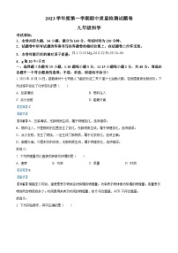 ，浙江省衢州市衢江区2023——2024学年九年级上学期11月期中科学试题