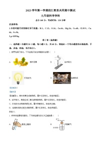 浙江省绍兴市浣江教育共同体2023-2024学年九年级上学期期中科学测试卷