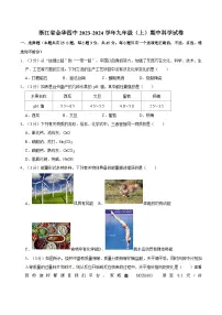 浙江省金华市第四中学2023-2024学年九年级上学期期中科学试卷