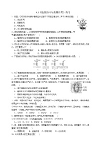 浙教版八年级下册第5节 植物的叶与蒸腾作用课后测评