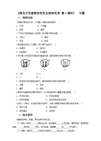 华师大版七年级下册1 绿色开花植物的有性生殖和发育第三课时当堂检测题