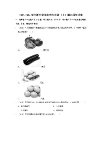 浙江省丽水市2023-2024学年九年级上学期期末科学试卷