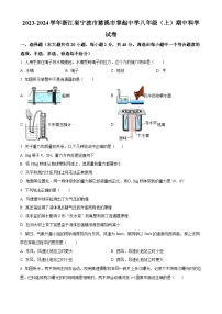 浙江省宁波市慈溪市掌起初级中学2023-2024学年八年级上学期期中科学试卷（原卷版+解析版）