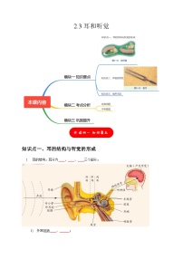 初中科学浙教版七年级下册第3节 耳和听觉精品综合训练题