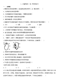 初中科学浙教版七年级下册第4节 植物的一生精练