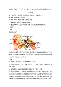 初中科学浙教版七年级下册第3节 耳和听觉一课一练