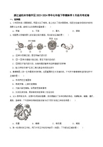 浙江省杭州市临平区2023-2024学年七年级下学期3月份月考科学试卷