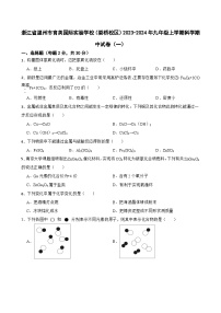 浙江省温州市育英国际实验学校（娄桥校区）2023-2024年九年级上学期期中科学试卷（一）