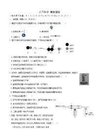 期末复习卷  浙教版八年级下册科学