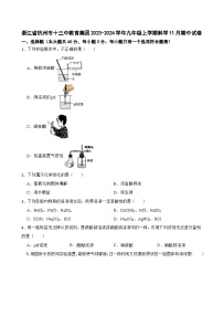 浙江省杭州市十三中教育集团2023-2024学年九年级上学期11月期中科学试卷