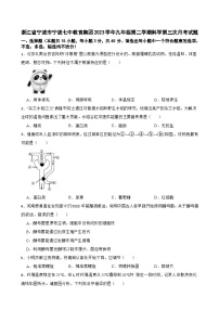 浙江省宁波市宁波七中教育集团2023学年九年级下学期科学第三次月考试题