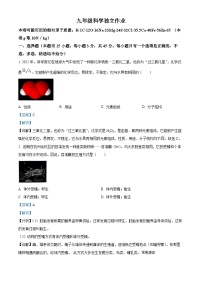 08，2024年浙江省绍兴市第一初级中学九年级中考一模科学试题