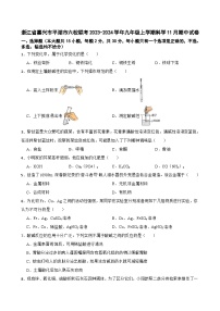 浙江省嘉兴市平湖市六校联考2023-2024学年九年级上学期科学11月期中试卷+