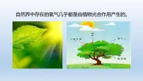 初中科学浙教版八年级下册第1节 空气与氧气教学课件ppt