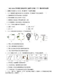 2023-2024学年浙江省杭州市上城区七年级（下）期末科学试卷