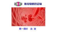 初中科学第3节 体内物质的运输完整版ppt课件