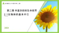 初中科学浙教版（2024）七年级上册（2024）第1节 生物体的基本单位获奖作业ppt课件